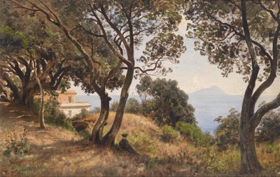 Vista del sur de Ascan Lutteroth